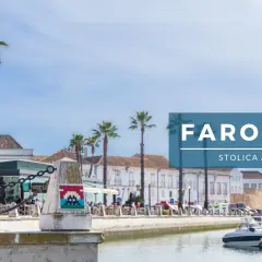 Faro, stolica Algarve, w listopadzie. Palmy, łodzie w marinie i budynki w tle.